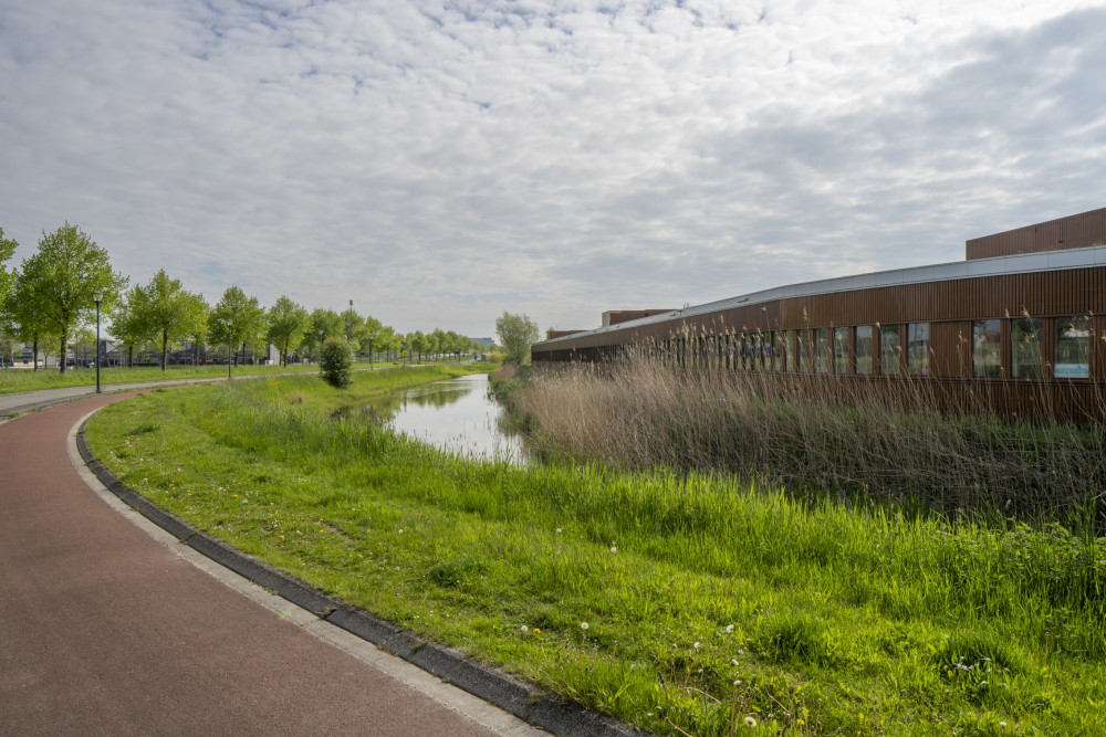 Reitdiepschool Rietwierde